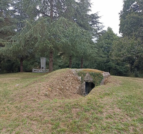 Les bois et l'océan à Plouhinec - Nostang - 1