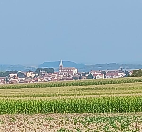 Boucle dans le Kochersberg - Brumath - 1