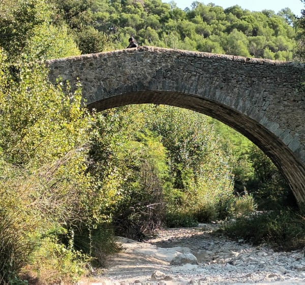 Balade VTT de Lorgues à  Taradeau par la forêt et les vignes - Francis - 1
