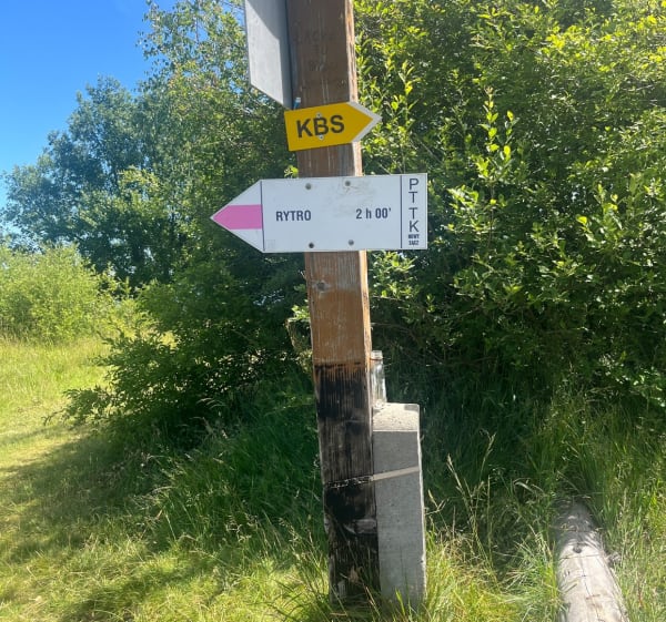Niemcowa 963 m n.p.m. - Piwniczna-Zdrój - 1