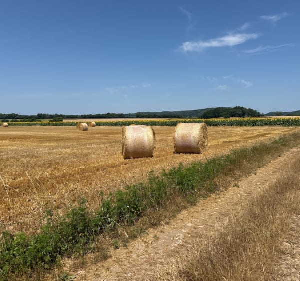 Entre Le Mottier et Eydoche - Mottier - 1