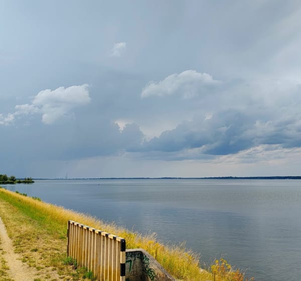 Jazda przez las nas jezioro - Opole - 1