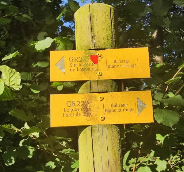 Balade en forêt de Louviers - Louviers - 1