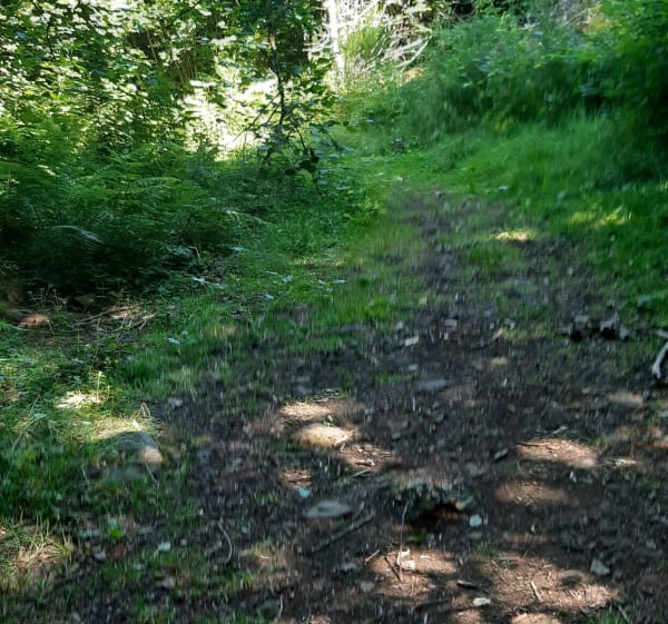Près de Cône - Saint-Ours - 1