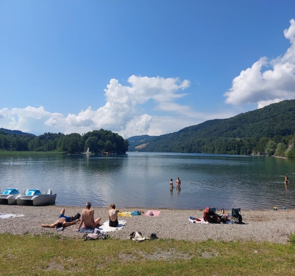 Entre les lacs de Laffrey - Laffrey - 1