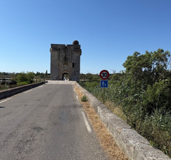 Sortie sportez-vous bien au  Grau du Roi - Le Grau-du-Roi - 1