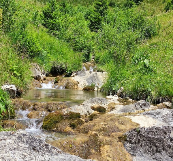 La cascade des Munes - Taninges - 1
