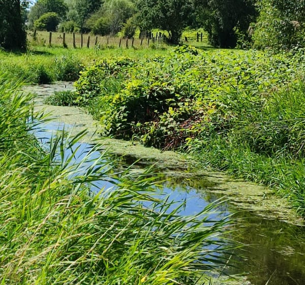 Du camping Paradis à travers les chemins et rus - Rang-du-Fliers - 1