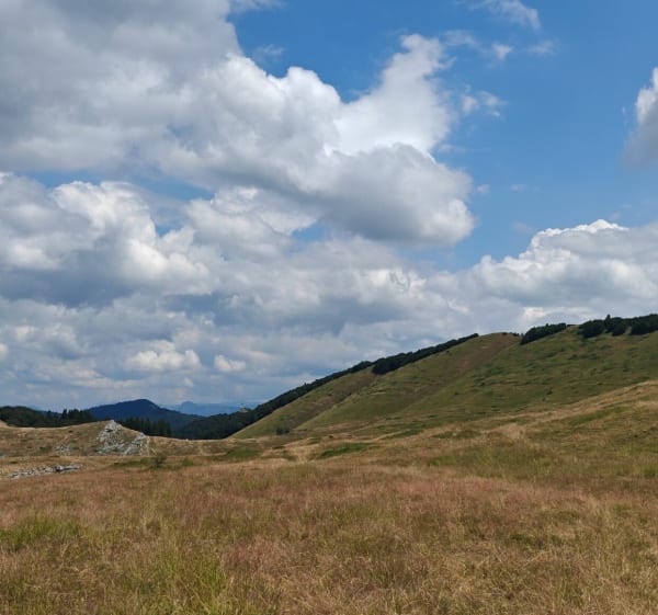 Boucle de chaux Clapier au Alpage de Font d'Urle - Bouvante - 1