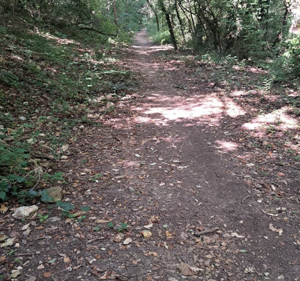 Sortie VTT tout niveaux à Sophia Antipolis - Philippe - 1