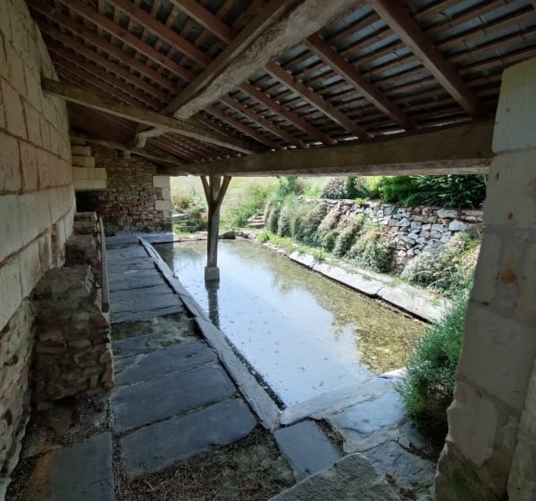 Visite des lavoirs autour de Blaison-Saint-Sulpice - Daniele - 1