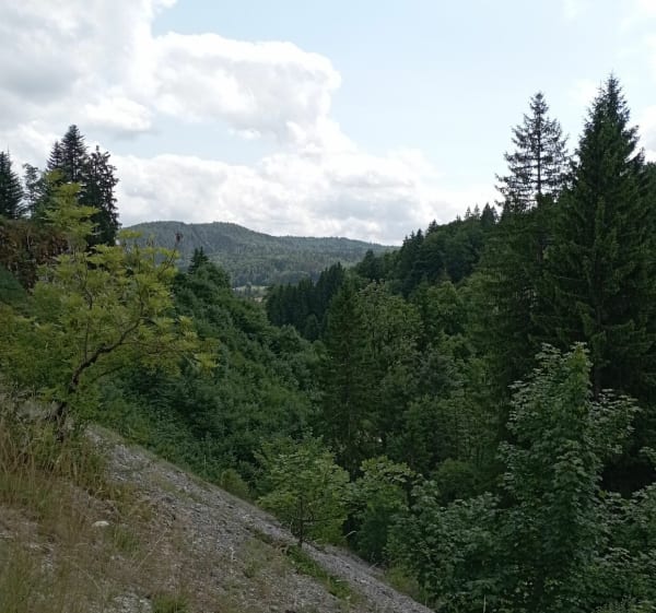 La Madone de Morbier - Morbier - 1