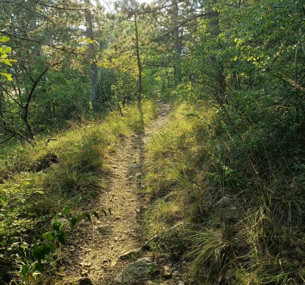 Balade sur les hauts de Cravant - Deux Rivières - 1