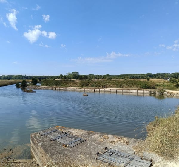 Promenade entre  Marais salante forêt et plage - L'Île-d'Olonne - 1