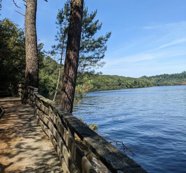 Depuis l'anse de Serdan - Saint-Aignan - 1