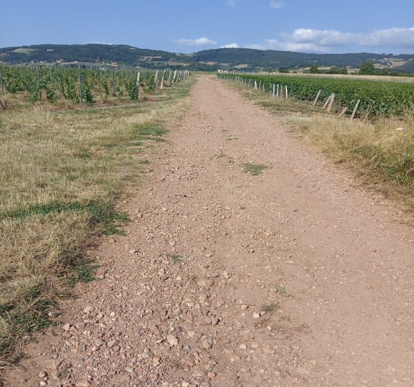 Hauteur de Pouilly le Monial : par voie taco et vignes - Porte des Pierres Dorées - 1