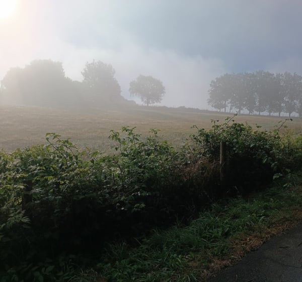 Anglards via Rabillou - Anglards-de-Saint-Flour - 1
