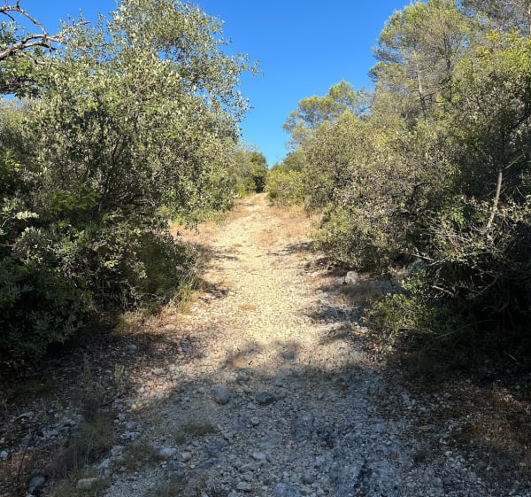 Balade aux alentours de Garéoult et Camps-la-Source - Garéoult - 1