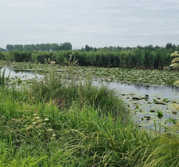 Rondje bij Wilnis - Jos - 1
