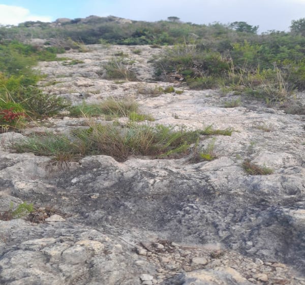 Roca-Roja en boucle - Les Cases d'Alcanar - 1