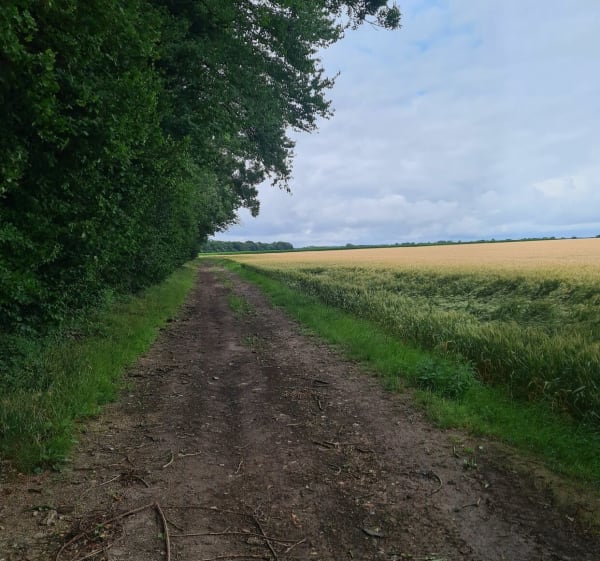 Balade au cœur des éoliennes depuis Poix-de-Picardie - Poix-de-Picardie - 1