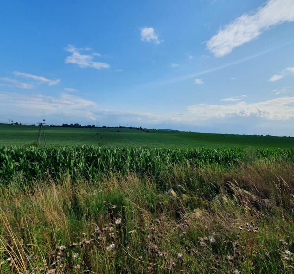 Obrzeżami Czeladzi i nie tylko - Czeladź - 1