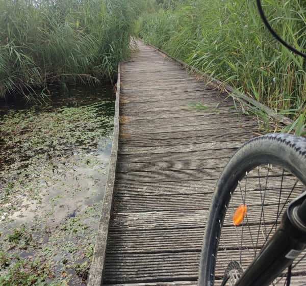 Tour des lacs et canal d'Ormoy - Lieusaint - 1