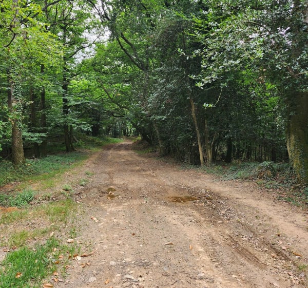 Pentes du château et caperes - Morlanne - 1