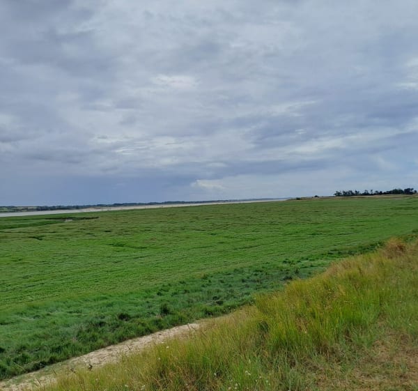 Pointe d'Agon - Heugueville-sur-Sienne - 1