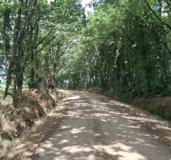 Petite randonnée Beaufour - Beaufou - 1