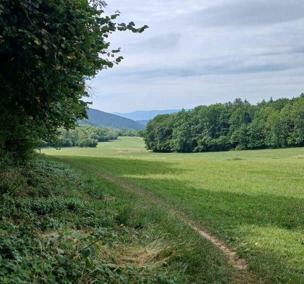 Mandallaz Ramesse - La Balme-de-Sillingy - 1