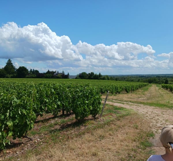 Foulées vouvrillonnes 2024 parcours marche 4km - Maryse et Ellie - 1
