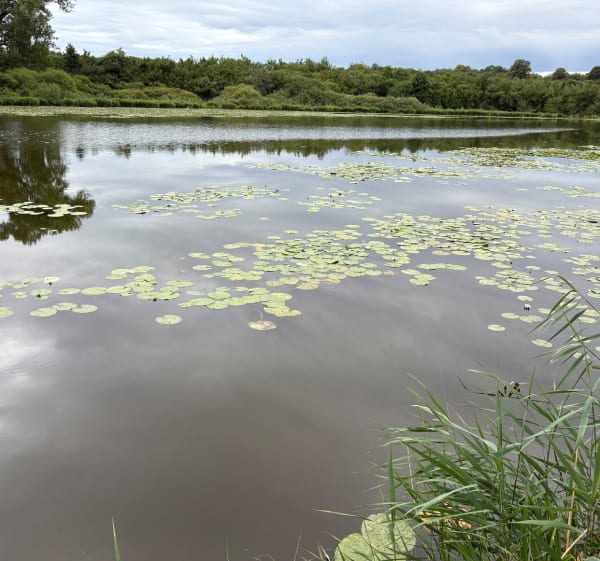 Petite balade par l'Etang de Gillieu - Michael - 1