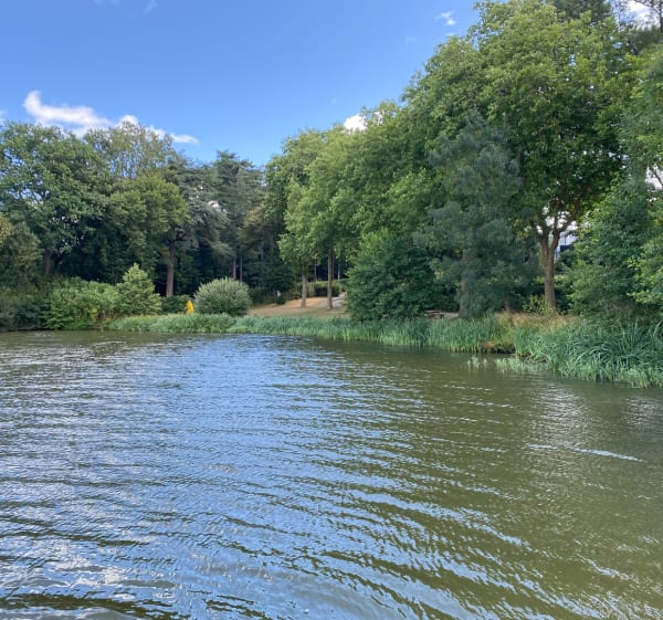 Découverte Sucé s/Erdre de la plage verte le long de l’Erdre - Sucé-sur-Erdre - 1