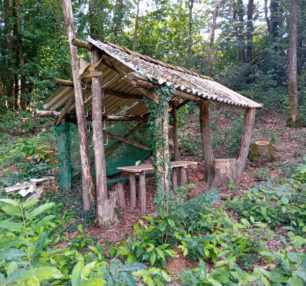 La carrière de Cheffois - Cheffois - 1