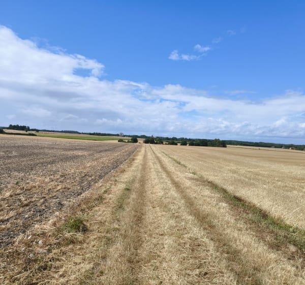 Le sentier au fil de l'Herbon - Massay - 1