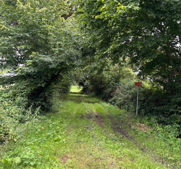 La randonnée de Mésangueville - Mésangueville - 1