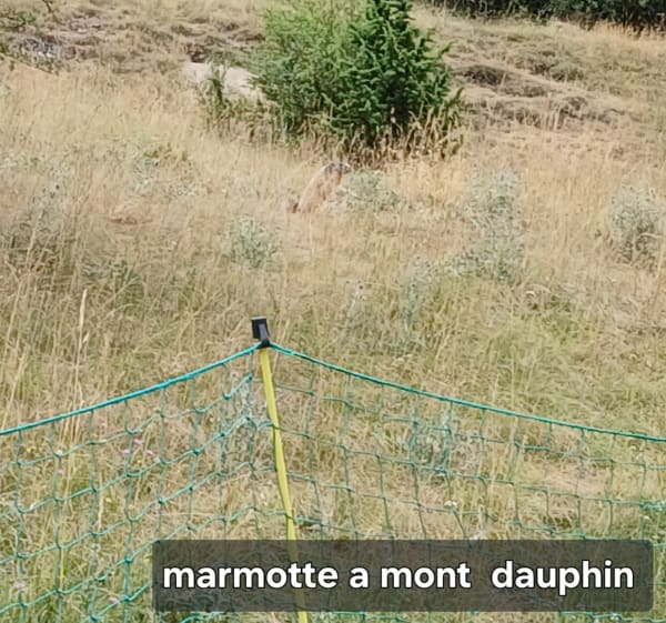 Balade autour du Mont dauphin - Eygliers - 1
