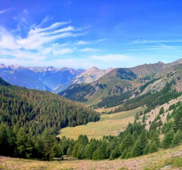 Lac de l'Aupillon - Les Thuiles - 1