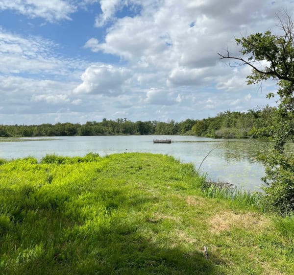De Mennecy à Fontenay, balade au cœur des marais - Mennecy - 1