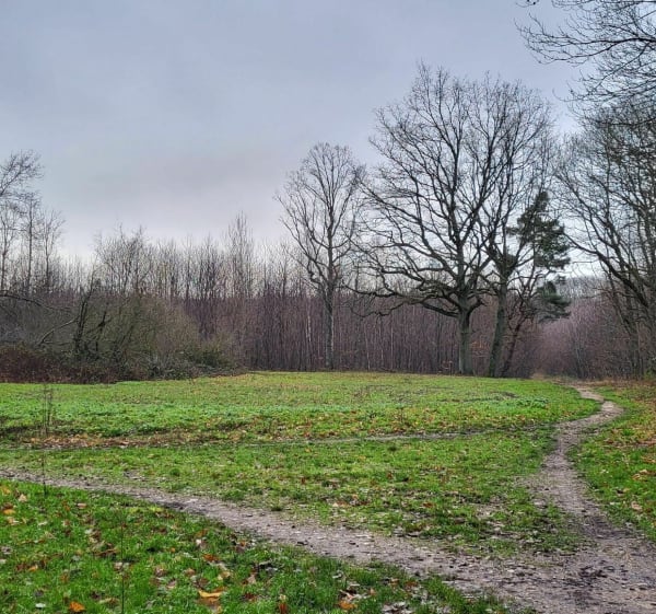 Marche facile à plat dans la forêt  de l'Hautil - Vaux-sur-Seine - 1