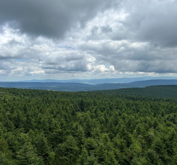 Wieża z widokiem panoramicznym - Deštné v Orlických horách - 1