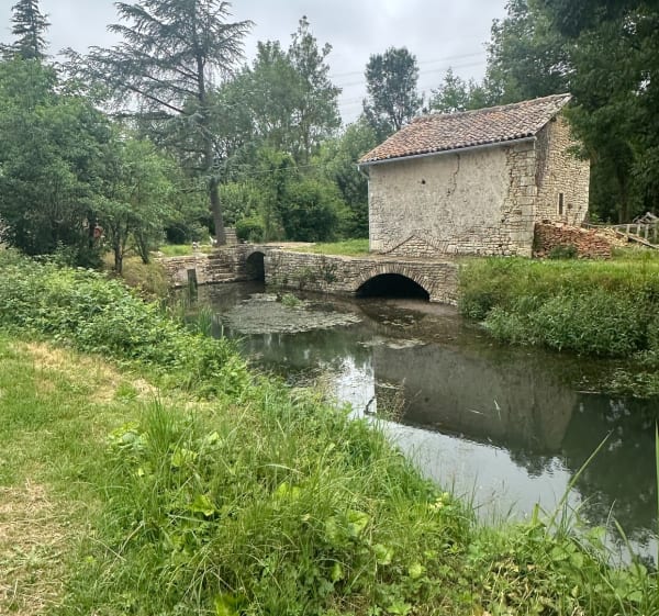 Randonnée autour de Ligugé - Ligugé - 1