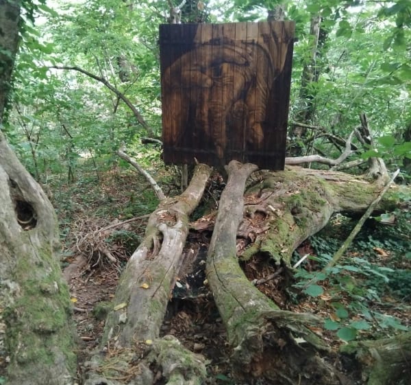 Les sommets de la Vaysse - Cransac - 1