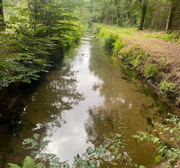 Slenk route (klotterpeel) - De Rips - 1