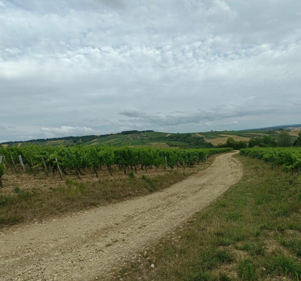 Boucle à partir de Cravant, passant à Val-de-Mercy - David et Dominique - 1