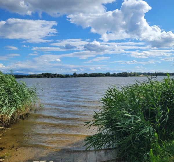 Gostyń-Jezioro Łąka - Poręba - 1