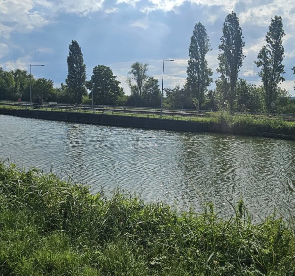 Thionville, le long de la Moselle - Thionville - 1