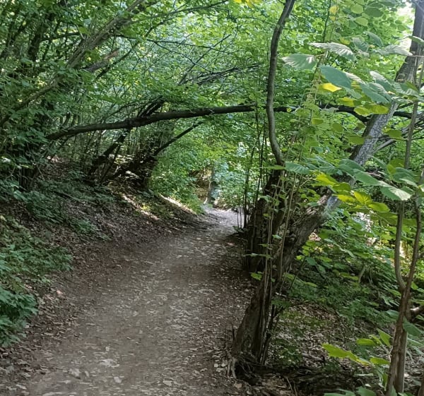 Z Pogórskiej Woli do Tarnowa - Karol - 1