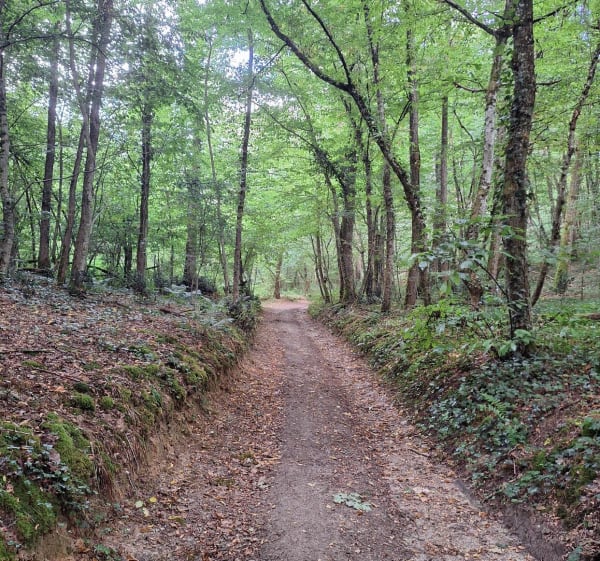 Promenade autour de Leyment, Charveyron, Le Trolliet - Leyment - 1